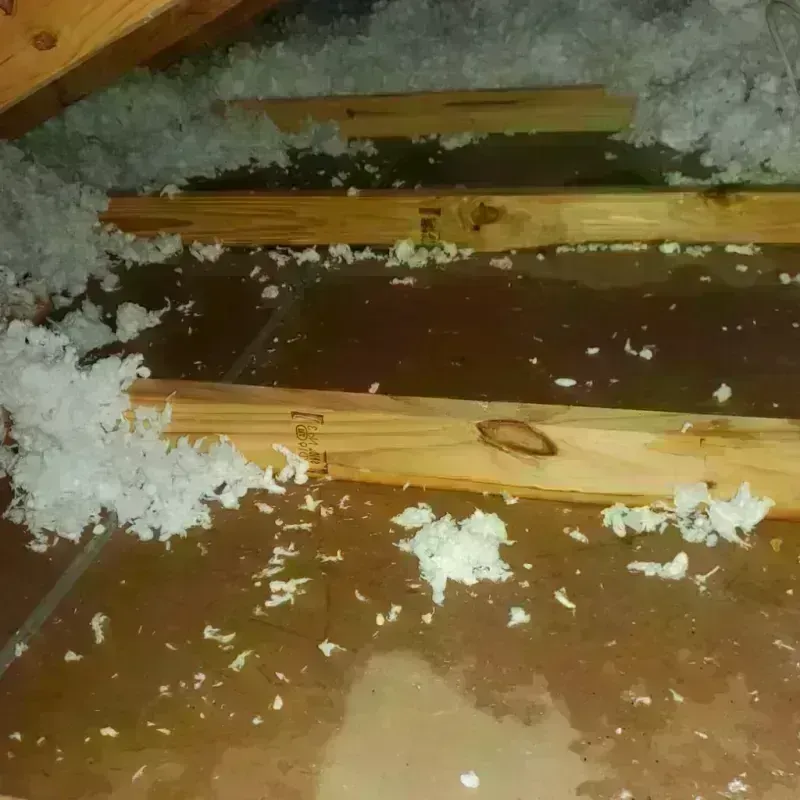 Attic Water Damage in Taft Heights, CA